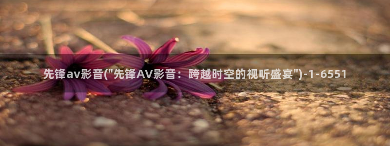 av天堂影音先锋