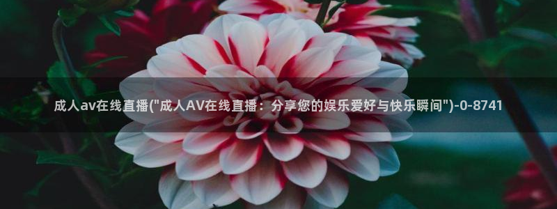 欧美av一级