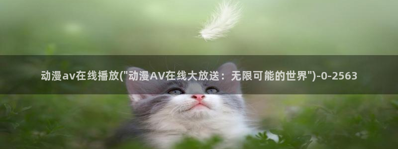 av游戏